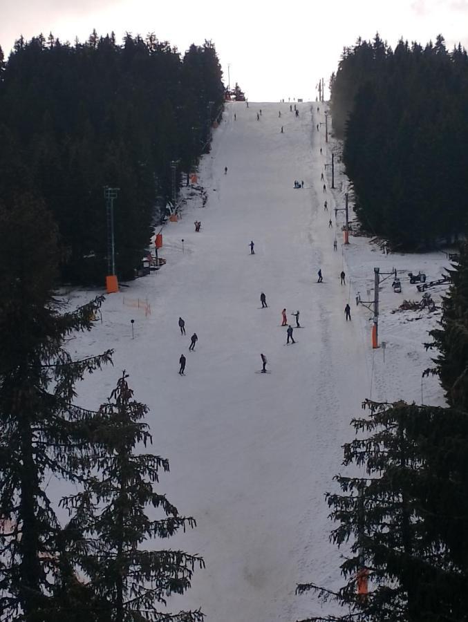Woodside Woodside Apartments Kopaonik Free Parking & Spa , Free Ski Locker Kültér fotó